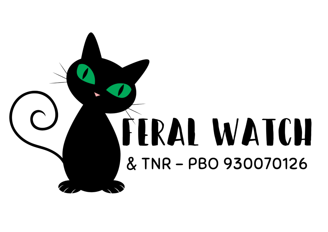 Feral Watch & TNR